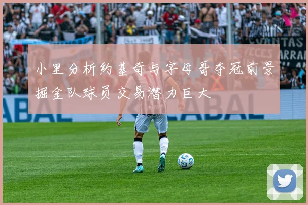 小里分析约基奇与字母哥夺冠前景掘金队球员交易潜力巨大